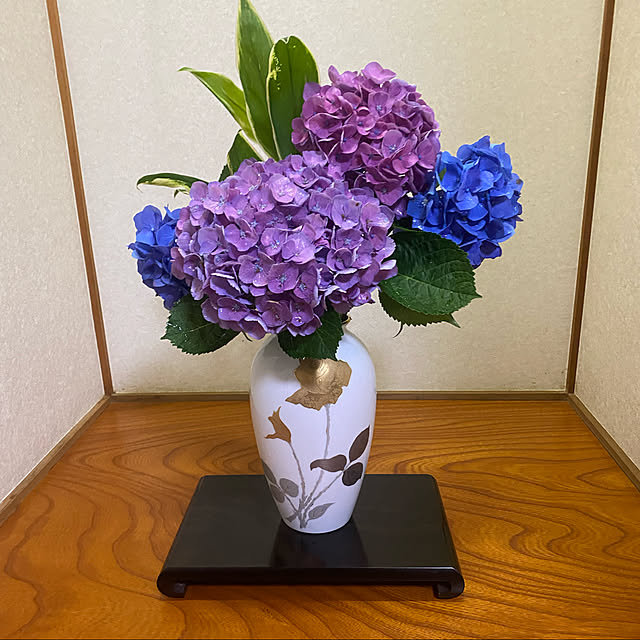 chIoeさんの実例写真