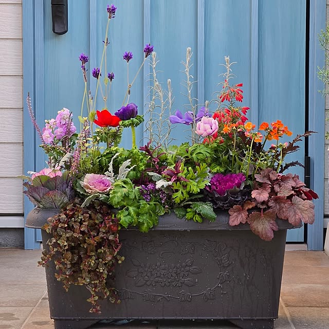 nonbiri_house_さんの実例写真