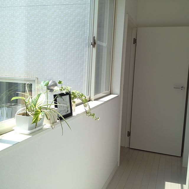 Nozomiさんの実例写真