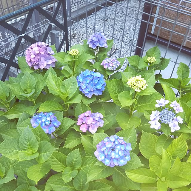 LEAFさんの実例写真