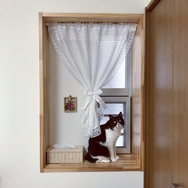 Yunさんの実例写真