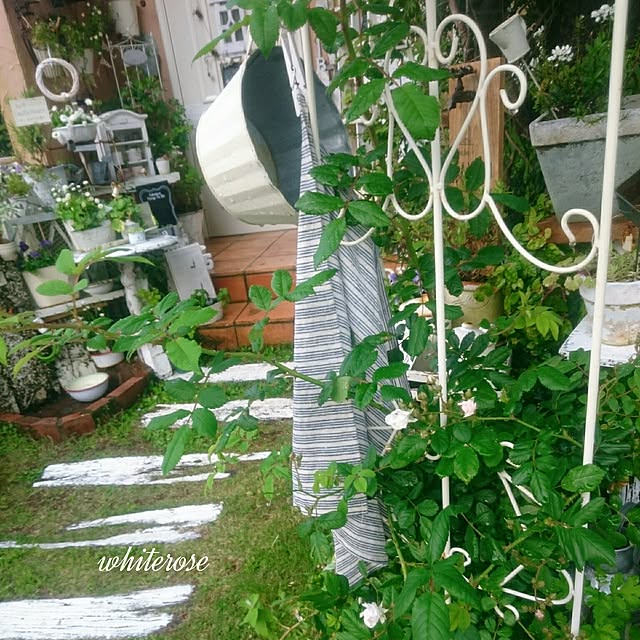 whiteroseさんの実例写真