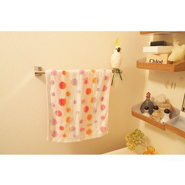 Chihiroさんの実例写真