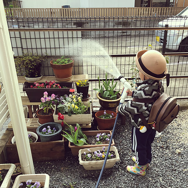 nokoさんの実例写真