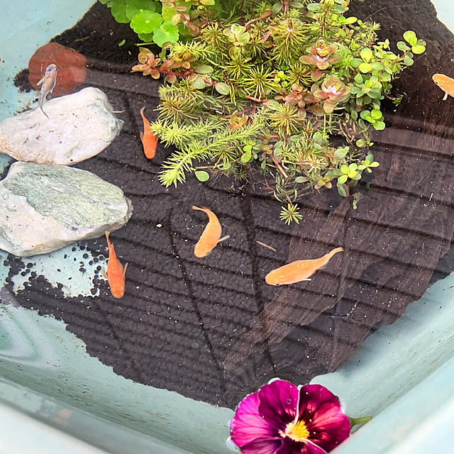 mihoさんの実例写真