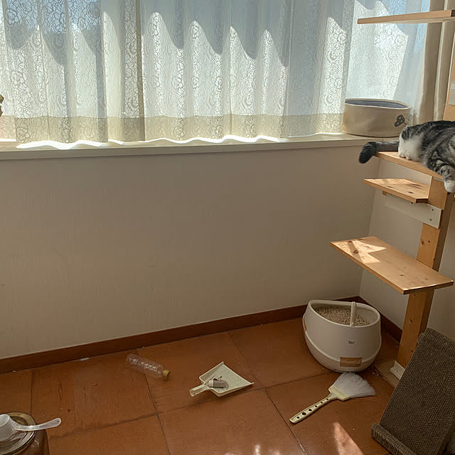 aoiさんの実例写真