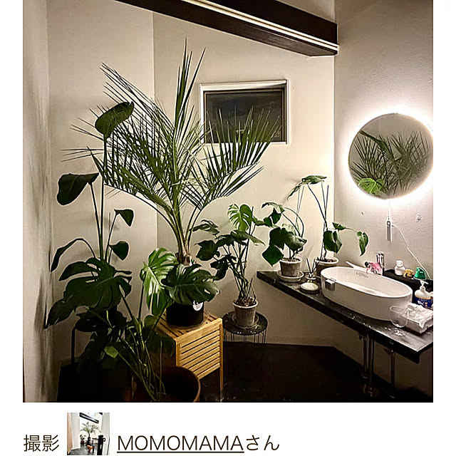 MOMOMAMAさんの部屋