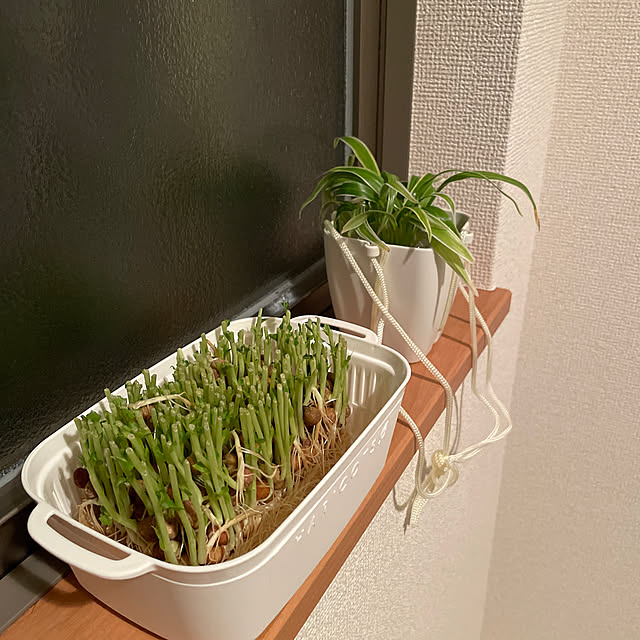 yuyuさんの実例写真