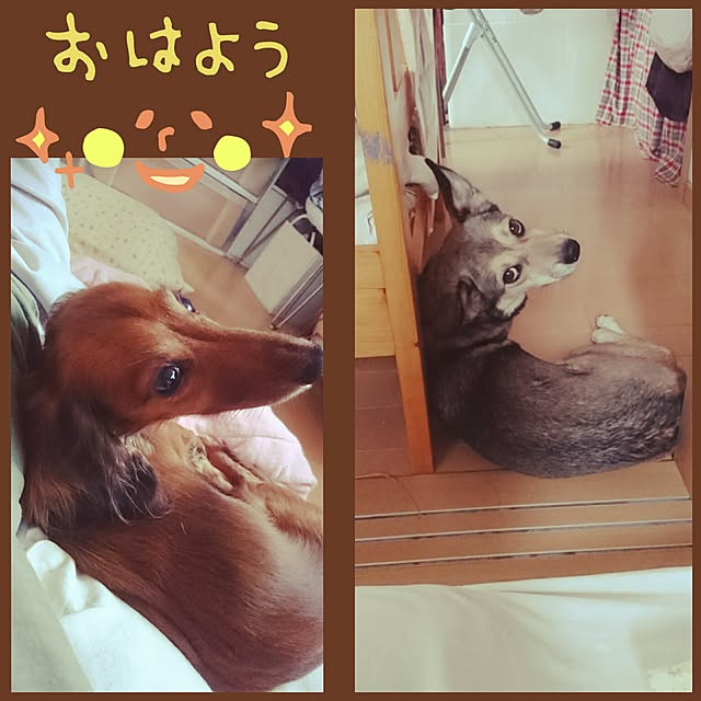 andさんの実例写真