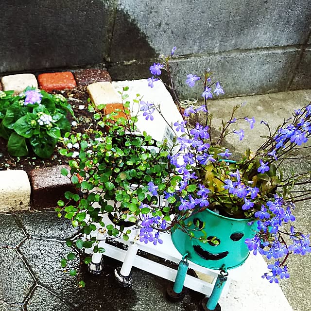 mekkokunkunさんの実例写真