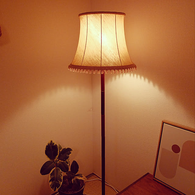 i_am_chamaruさんの実例写真