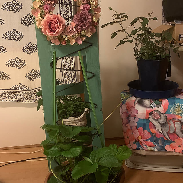siawase.cfさんの部屋