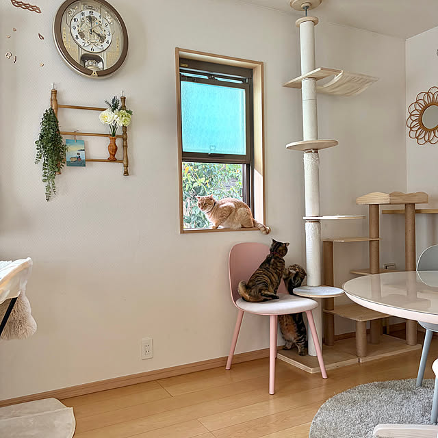 chiiさんの実例写真