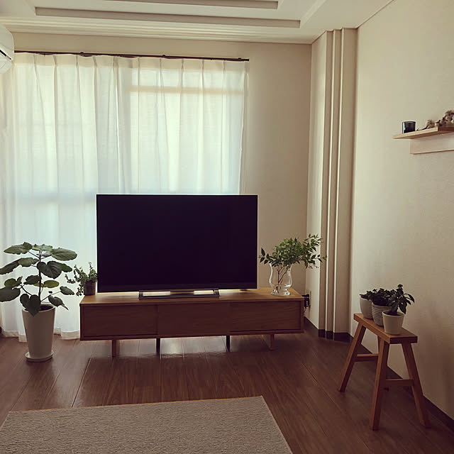 観葉植物/部屋全体のインテリア実例 - 2021-04-07 08:18:44