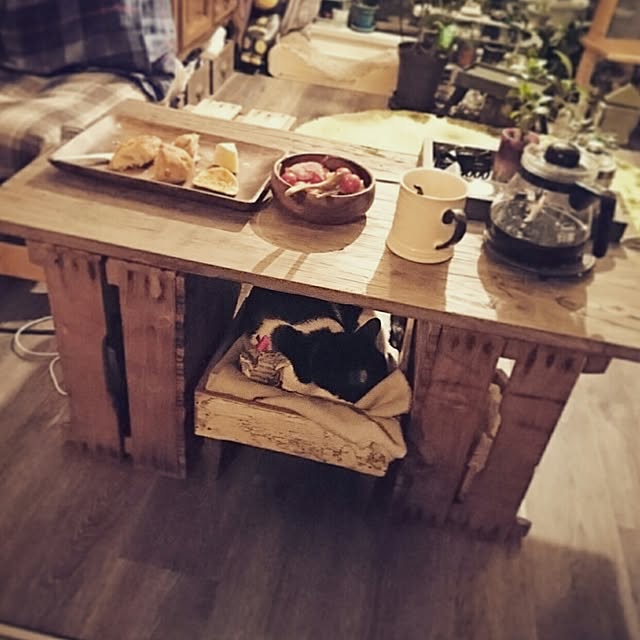 Kazukiさんの実例写真