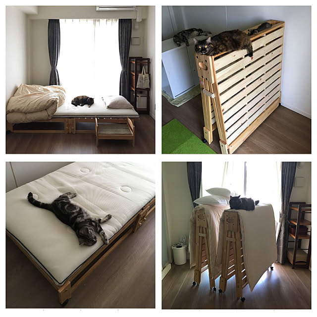 mikomaruさんの実例写真