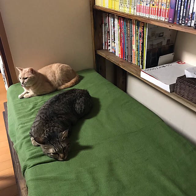 mikan161さんの実例写真