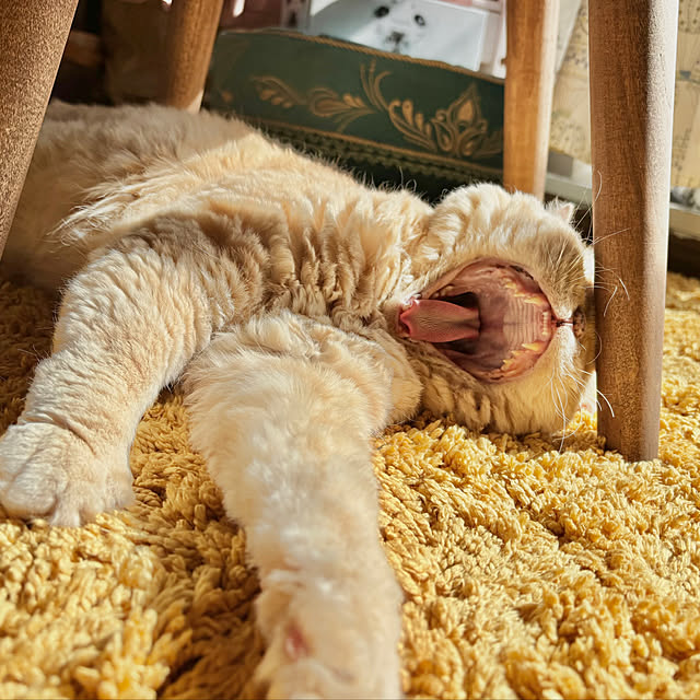 naokoさんの部屋