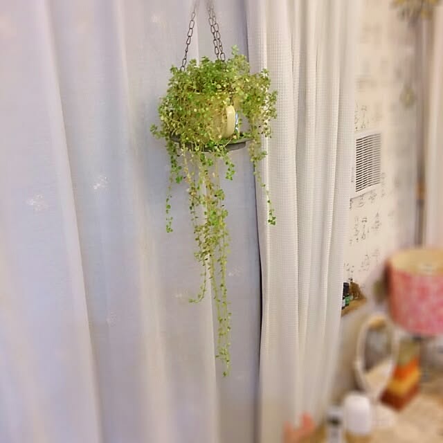 ayu_unsourireさんの実例写真