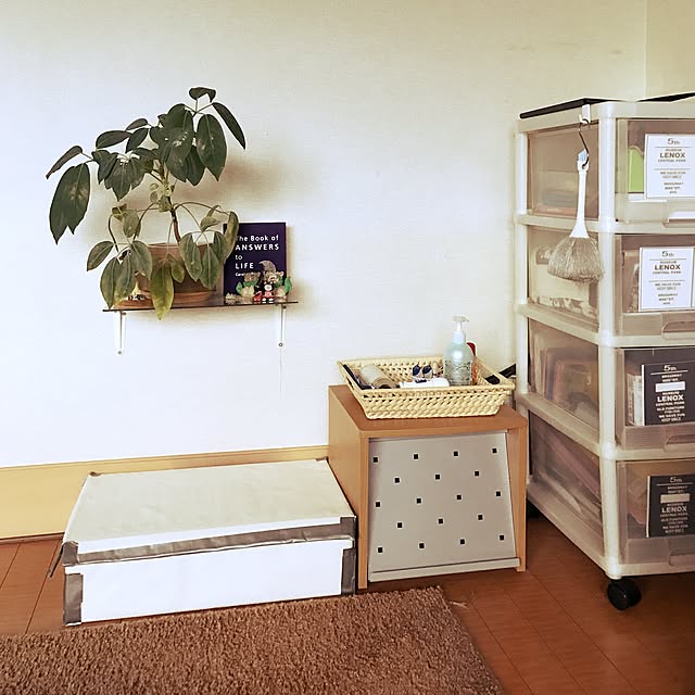 棚/DIY/観葉植物のインテリア実例 - 2016-10-04 16:51:17