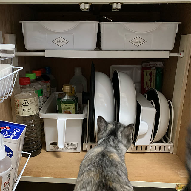 erichinさんの実例写真