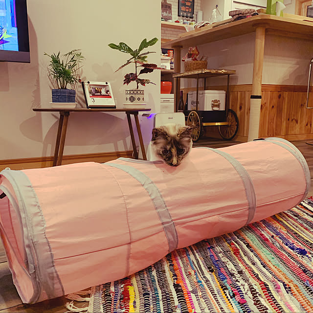 miyaさんの実例写真