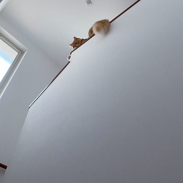 yoさんの実例写真
