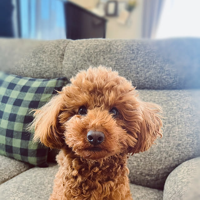 Royさんの実例写真