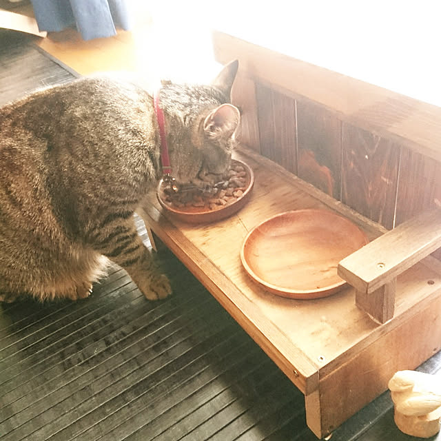meguさんの実例写真