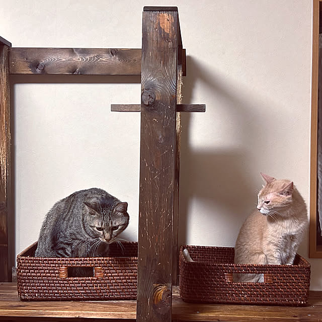 mikan161さんの実例写真