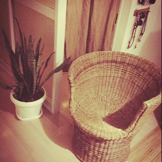 shoさんの実例写真
