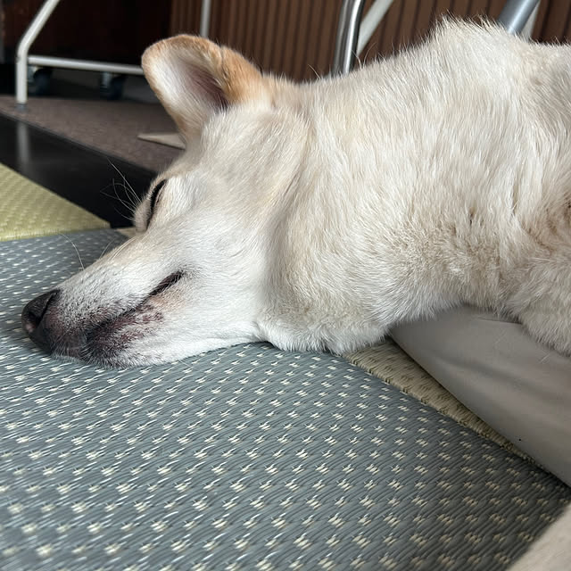 tanboさんの部屋