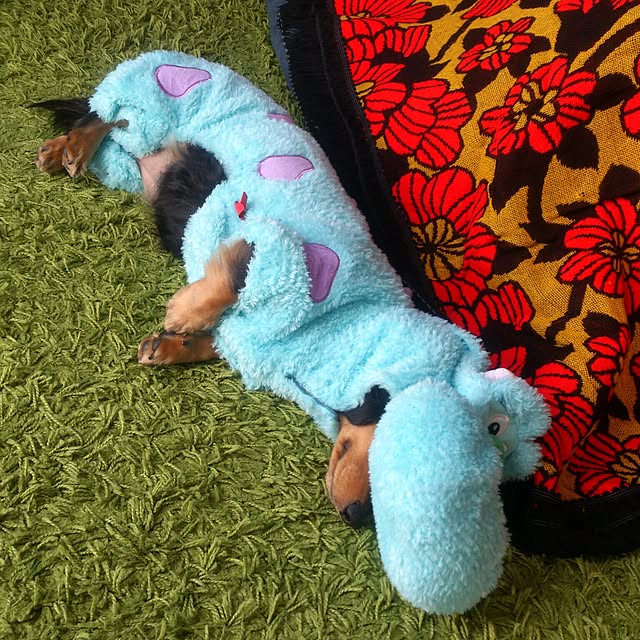 minaさんの実例写真