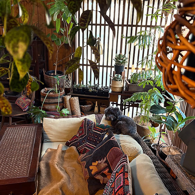 kinari.akariさんの部屋