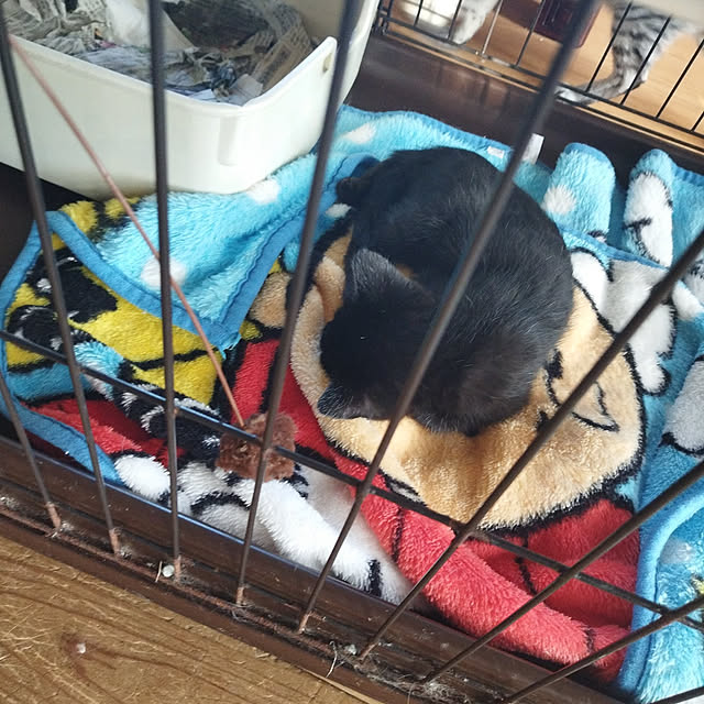 minnieさんの部屋