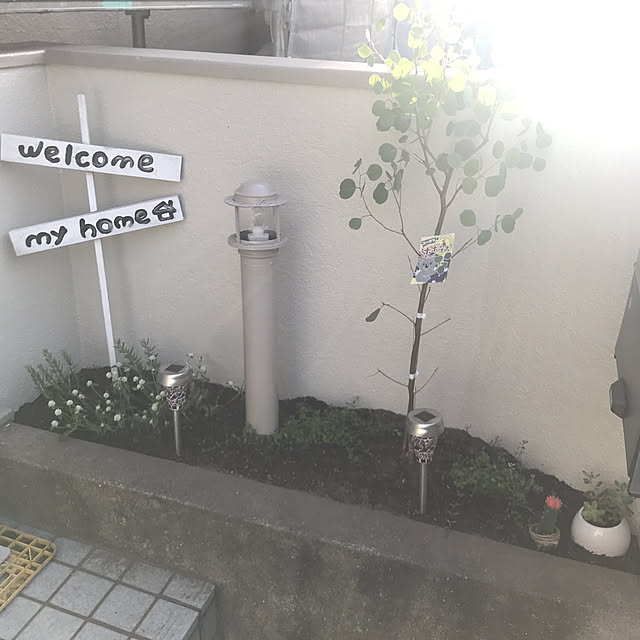 2boyMAMAさんの実例写真