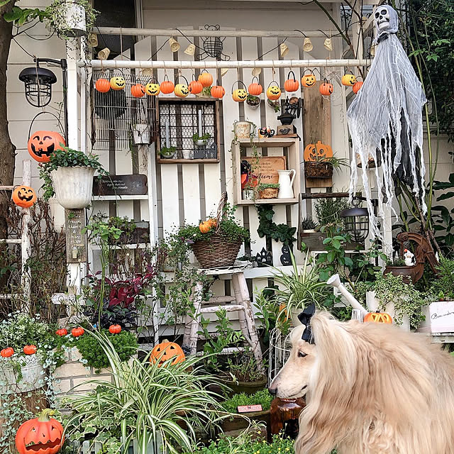 Michiru.Aさんの実例写真