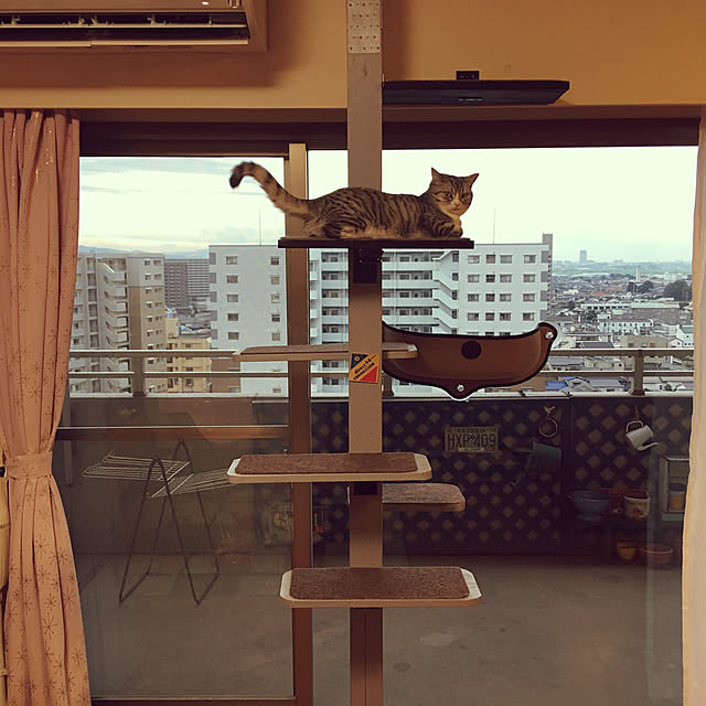 Shojiさんの実例写真