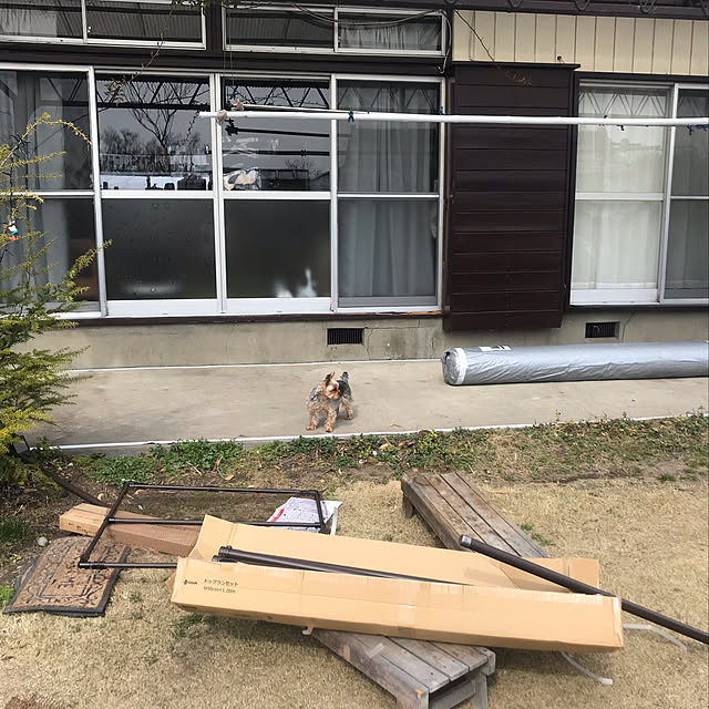 yozoraさんの実例写真