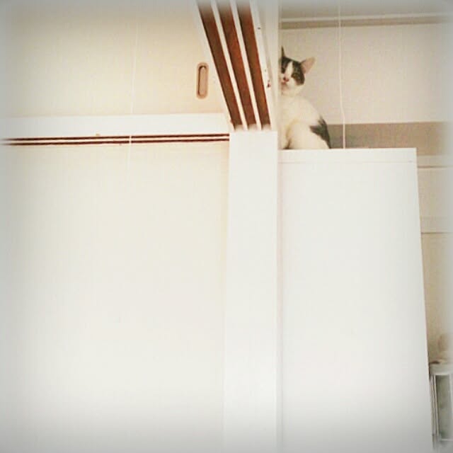 Lukiさんの実例写真