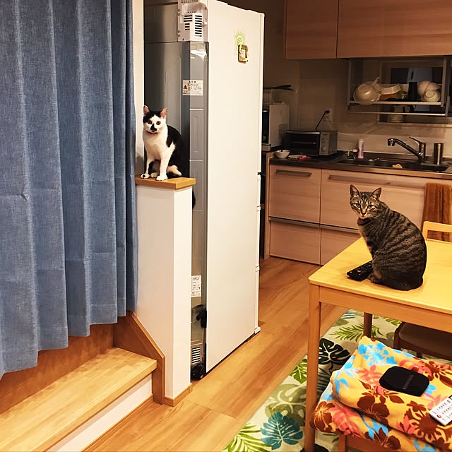 7himekoさんの実例写真