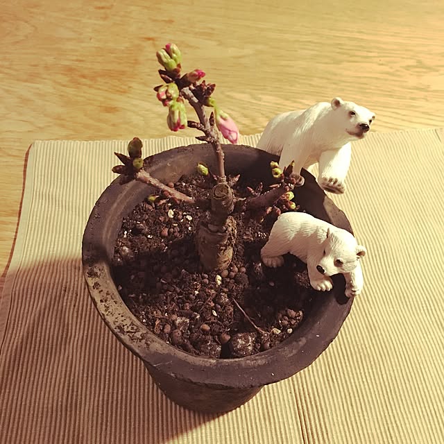 実例写真