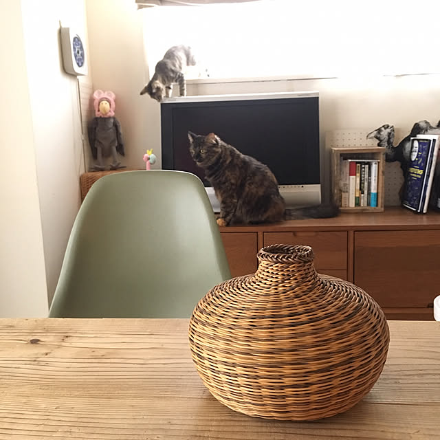 mikomaruさんの実例写真