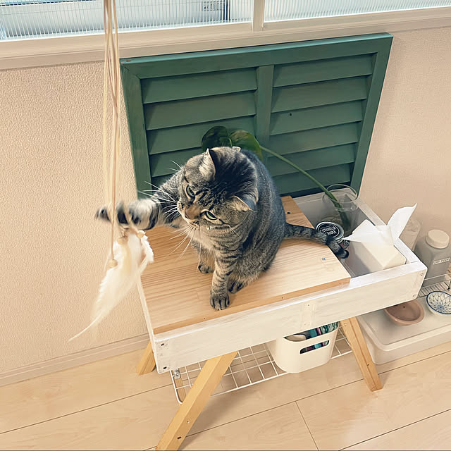 t-famさんの実例写真