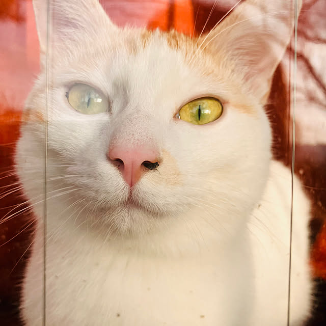 tomorinさんの部屋