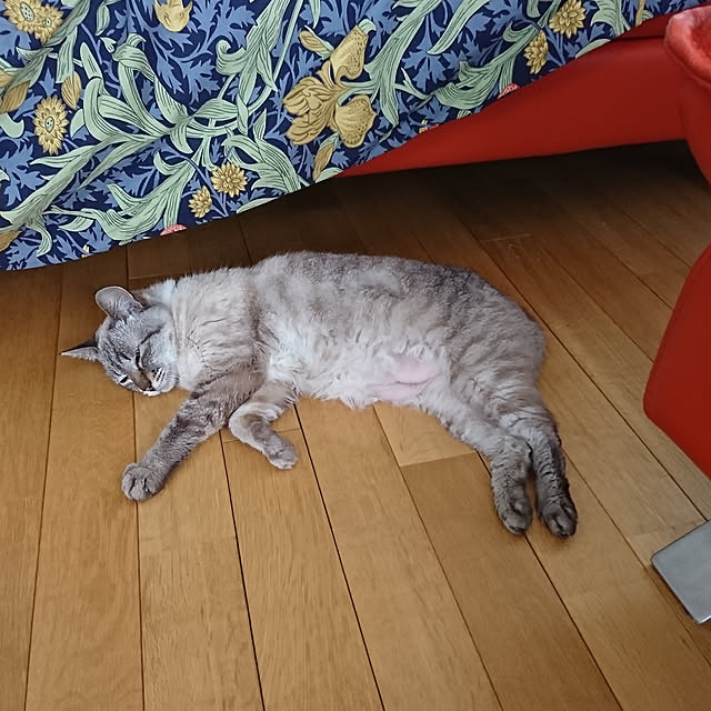 bonobono54さんの実例写真