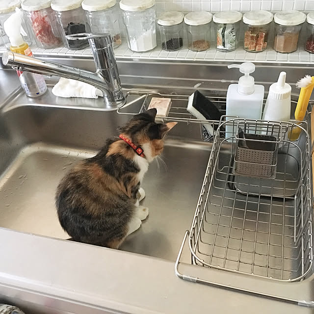 nerogaraginさんの実例写真