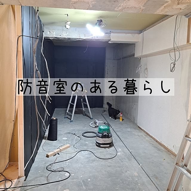 kankanmom_horn_5catsさんの実例写真