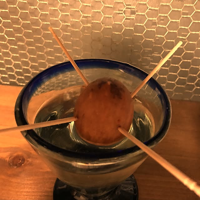 seroriさんの実例写真