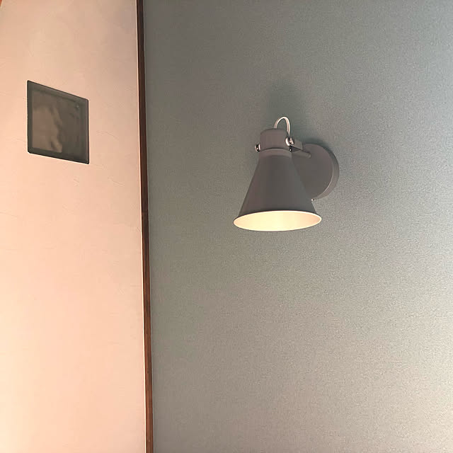 PU930さんの実例写真